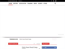 Tablet Screenshot of pedrosauer.com
